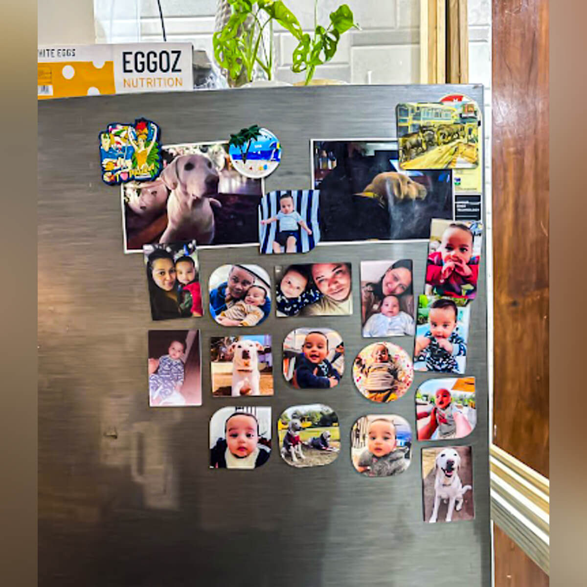 Acrylic Fridge Magnet Customer Image Review 53